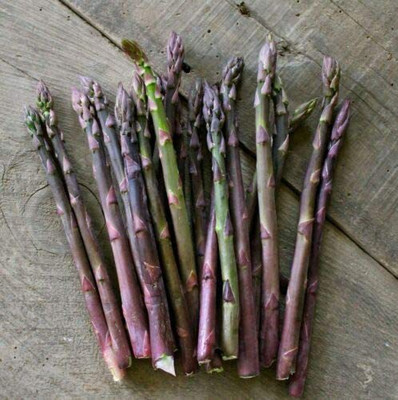 VibeX Asparagus Seed(1000 per packet)