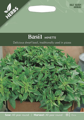 VibeX Basil Seed(5 per packet)