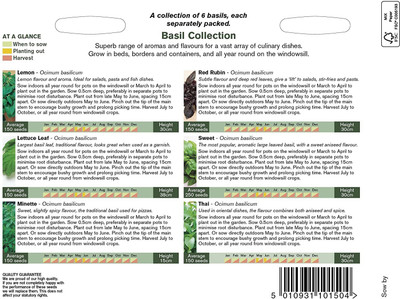 VibeX Basil Seed(250 per packet)