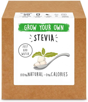 VibeX Stevia Seed(100 per packet)