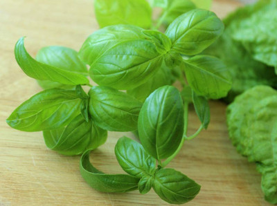VibeX Basil Seed(50 per packet)