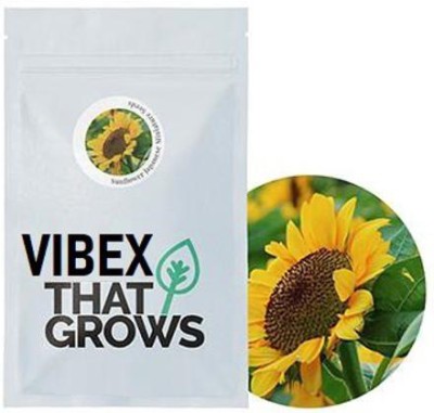 VibeX Sunflower Seed(250 per packet)