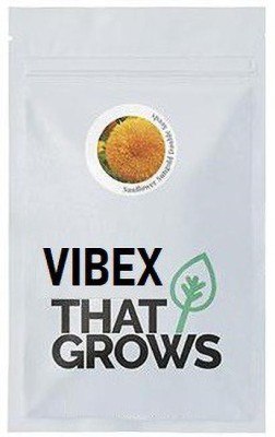 VibeX Sunflower Seed(25 per packet)