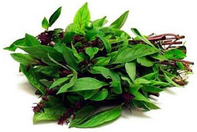 VibeX Basil Seed(500 per packet)