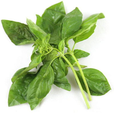 VibeX Basil Seed(50 per packet)