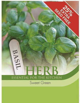 VibeX Basil Seed(50 per packet)