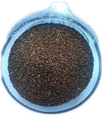 VibeX Krishna Tulsi Seed(100 per packet)