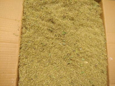 VibeX Stevia Seed(100 per packet)