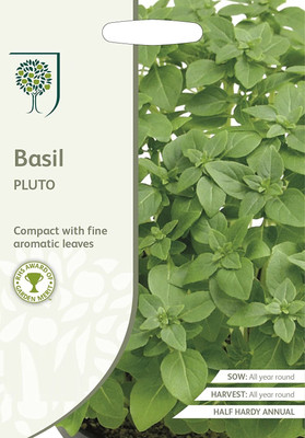 VibeX BASIL Seed(500 per packet)