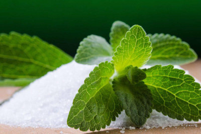 VibeX Stevia Seed(500 per packet)