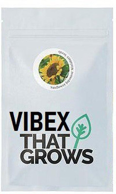 VibeX Sunflower Seed(25 per packet)