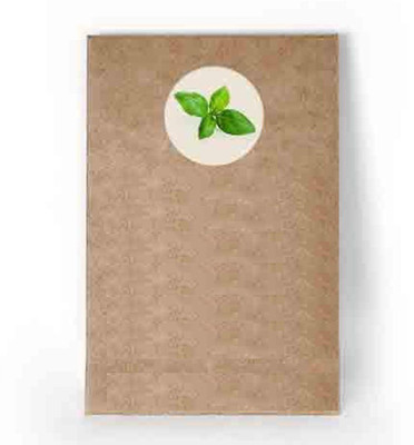VibeX Krishna Tulsi Seed(500 per packet)