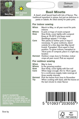 WILLVINE ™Herb Seeds, Basil Minette Seed(1000 per packet)