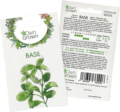 CYBEXIS Basil Seeds (Ocimum basilicum)1000 Seeds Seed(1000 per packet)