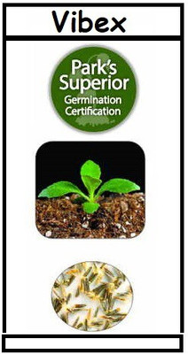 VibeX Stevia Seed(5 per packet)