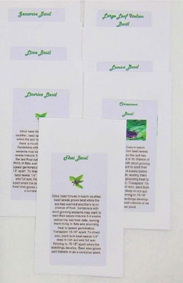 WILLVINE ™Basil Lovers Seed Collection - 7 of Our Most Tasty Basil Seeds - Non-GMO Seed(1000 per packet)