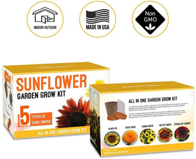 VibeX Sunflower Seed(500 per packet)