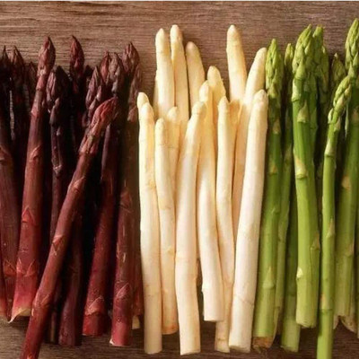 VibeX Asparagus Seed(500 per packet)