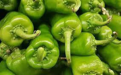 Sjeme Chilli Seed(20 per packet)