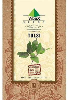 VibeX Rama Tulsi Seed(50 per packet)