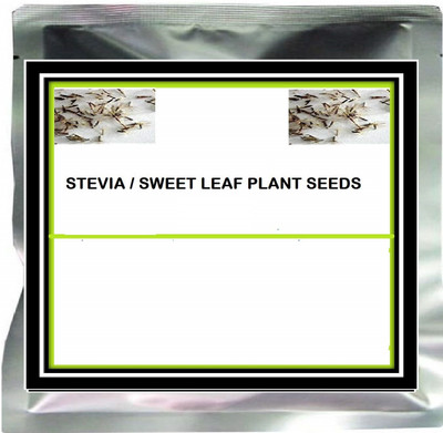 VibeX Stevia Seed(500 per packet)