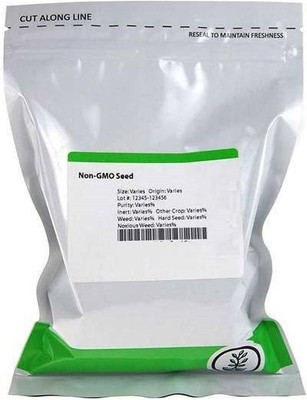 VibeX Stevia Seed(5 per packet)
