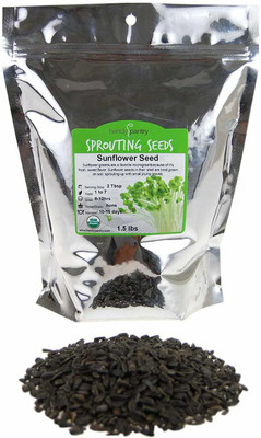 VibeX Sunflower Seed(250 per packet)
