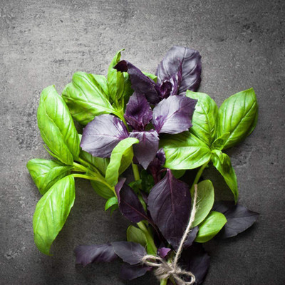 VibeX Basil Seed(250 per packet)