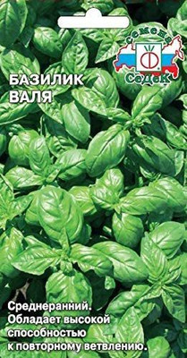VibeX Basil Seed(50 per packet)