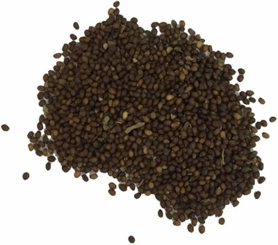 VibeX Krishna Tulsi Seed(5 per packet)