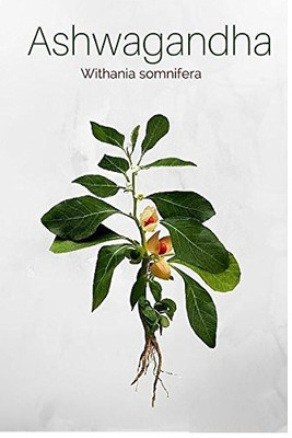 WILLVINE Ashwagandha Seed(200 per packet)