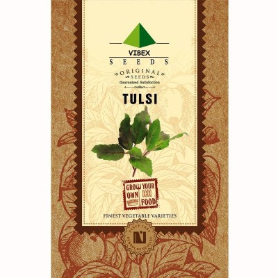 VibeX Rama Tulsi Seed(100 per packet)