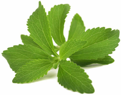 VibeX Stevia Seed(50 per packet)