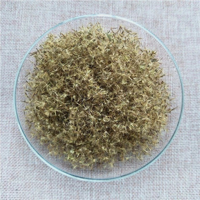 VibeX Stevia Seed(100 per packet)