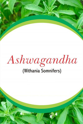 VibeX Ashwagandha Seed(1 per packet)