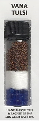 WILLVINE ™Vana Tulsi- FROZEN SEED CAPSULES Seed(1000 per packet)