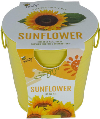 VibeX Sunflower Seed(25 per packet)