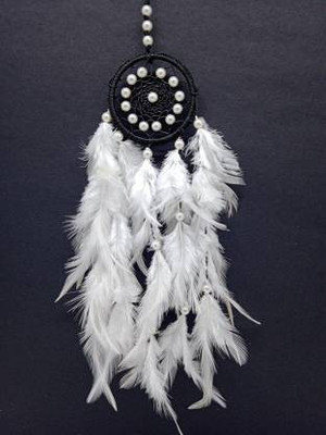 new lucky NLDC 55 Feather Dream Catcher(8 inch, White)
