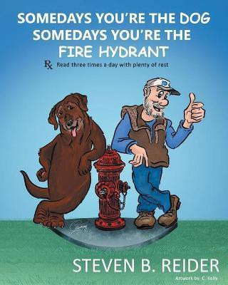 Somedays You're the Dog, Somedays You're the Fire Hydrant(English, Paperback, Reider Steven B)