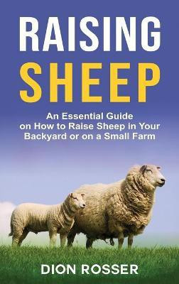 Raising Sheep(English, Hardcover, Rosser Dion)