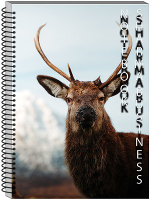 SHARMA BUSINESS HANDMADE A4 Notebook PLAIN 200 Pages(Multicolor)