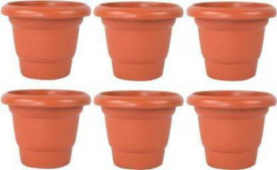 VirajSanchi Plant Container Set(Pack of 6, Plastic)