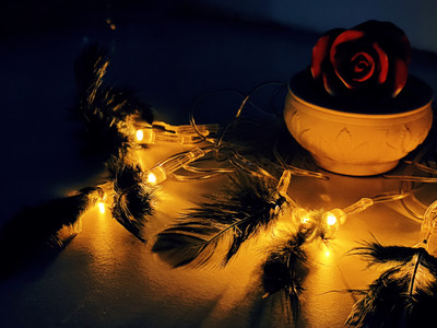 Infiprises 16 LEDs 3 m Gold Steady String Rice Lights(Pack of 1)