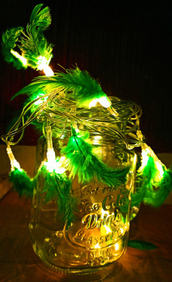 Infiprises 16 LEDs 3 m Green Steady String Rice Lights(Pack of 1)