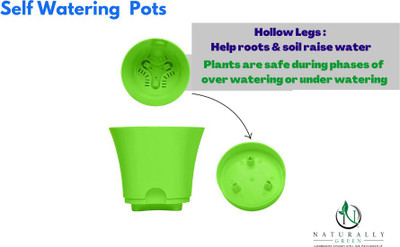 Naturally Green self watering pots Medium conical pack of 5 Plant Container Set(Pack of 5, Plastic)