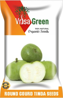 Vrisa Green ROUND GOURD TINDA Seed(50 per packet)