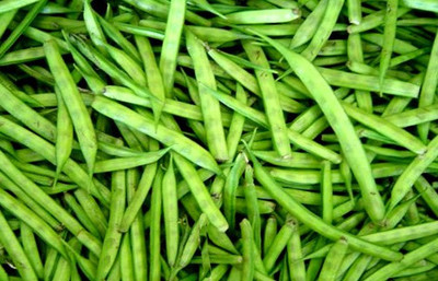 LYRS Cluster Beans Seed(65 per packet)