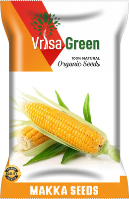 Vrisa Green FRESH MAKKA Seed(50 per packet)