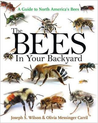 The Bees in Your Backyard(English, Paperback, Wilson Joseph S.)