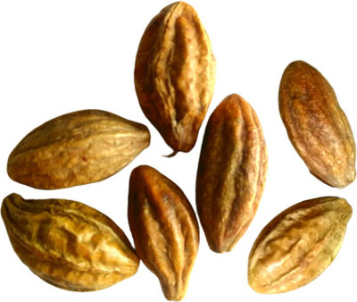 Epoojacart Karakayalu- Harad- Inknut Seed(100 per packet)